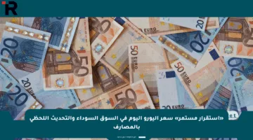 «استقرار مستمر» سعر اليورو اليوم في السوق السوداء والتحديث اللحظي بالمصارف